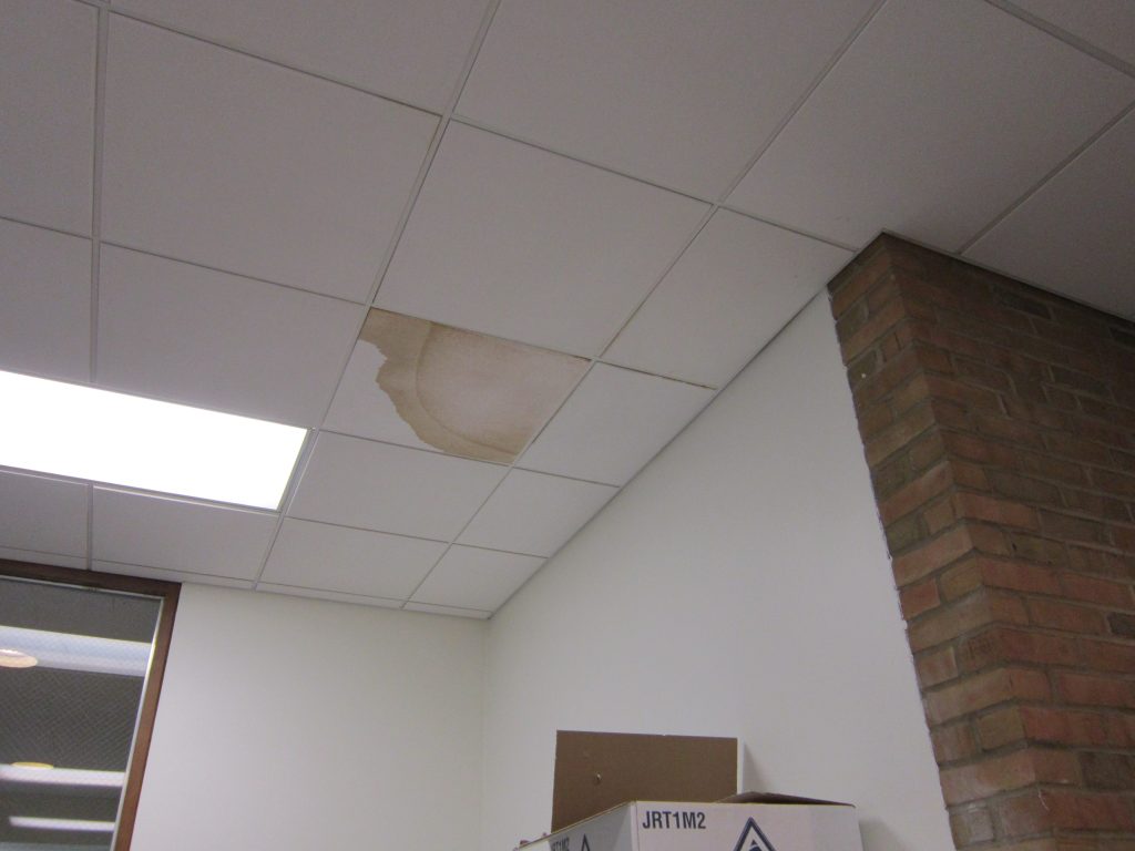 Roof Leak in Office Building