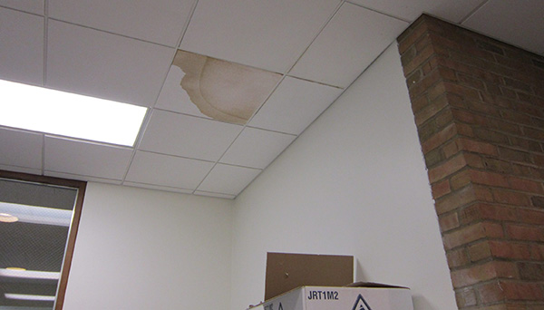 ceiling tiles have water damage