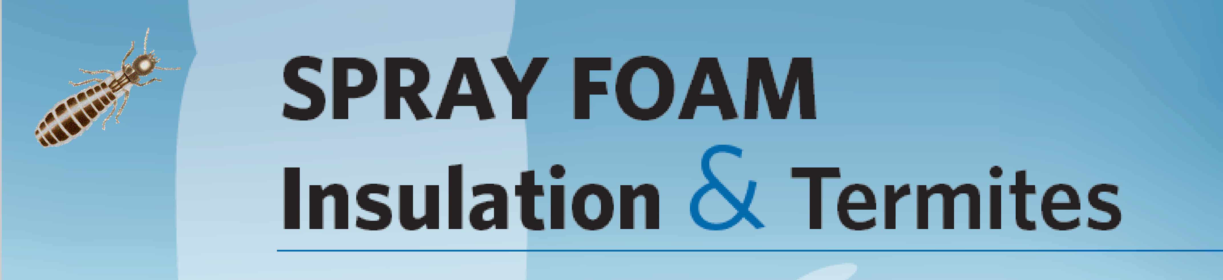 Spray Foam and TermitesWhat You Need To Know Cleveland, Ohio