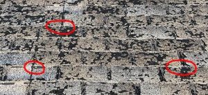 How to Stop a Roof Leak on a Shingle Roof?