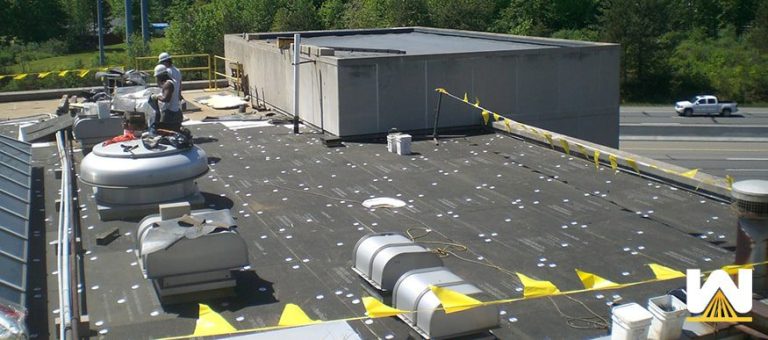 Florida visual data 5