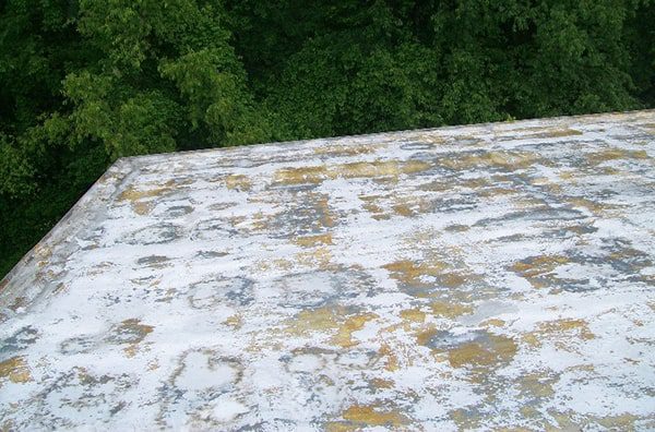 spray foam roof with foam exposed