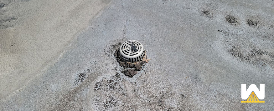 commercial roof with a drain that's clogged with debris