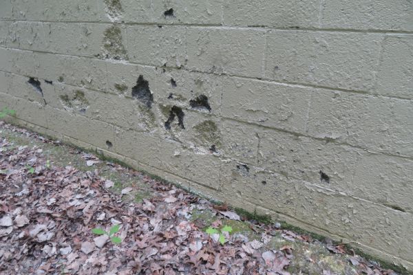 Paisley Farms exterior walls before restoration, showing peeling paint, large holes